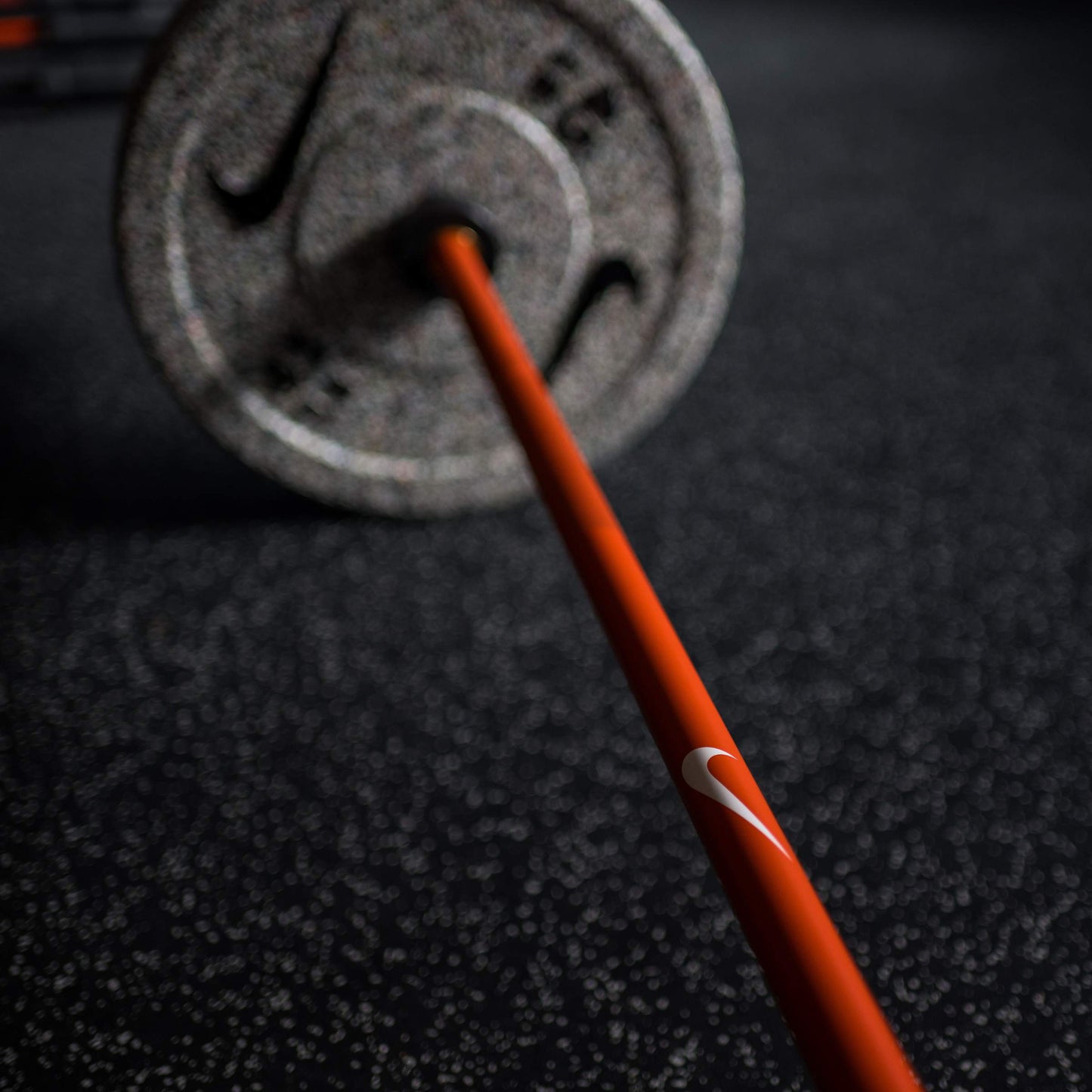 Haltère Nike Shield 15 kg