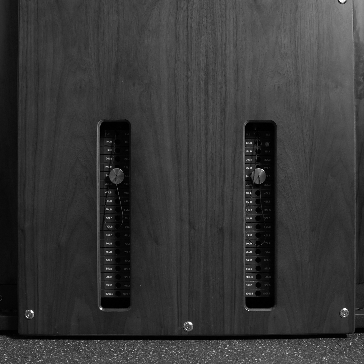 Flow 6 Black - Wall Mounted Functional Trainer