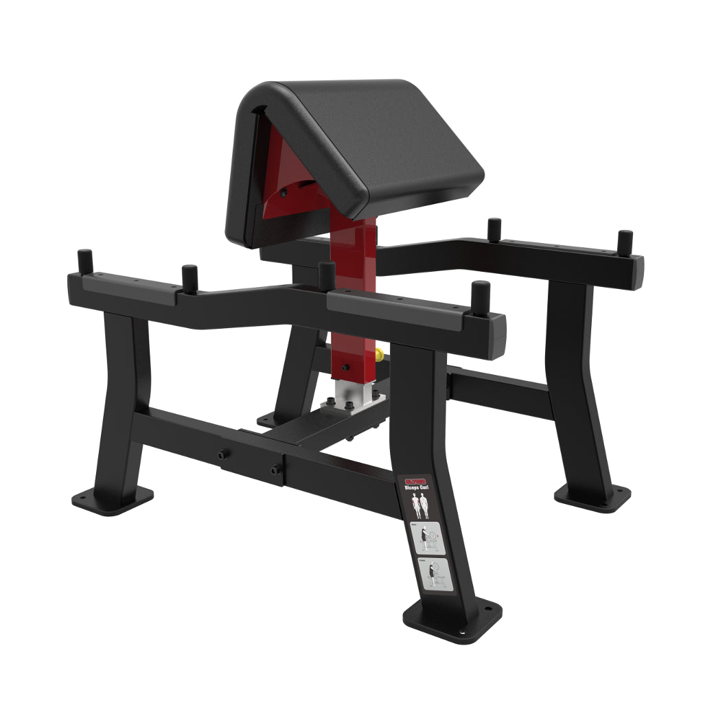 Element Fitness - Flexion des biceps HALTERE
