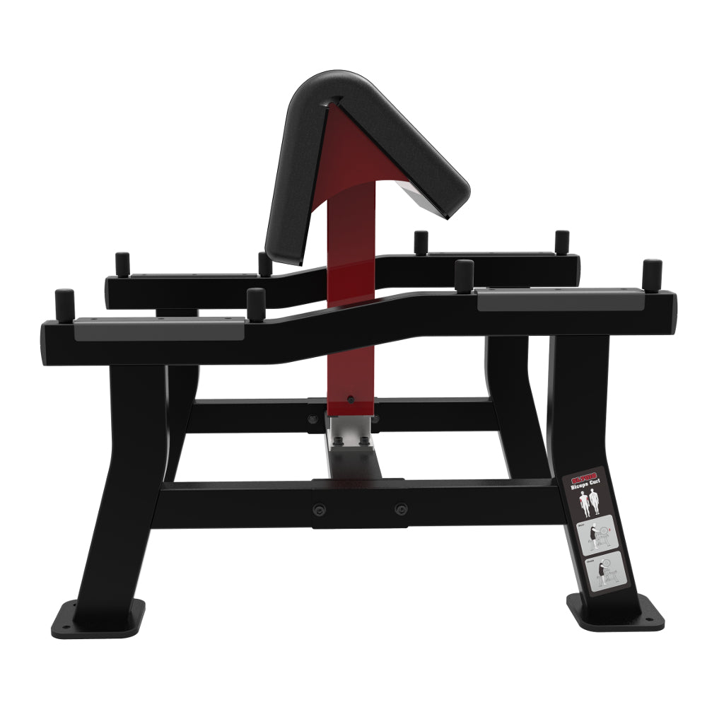Element Fitness - Flexion des biceps HALTERE