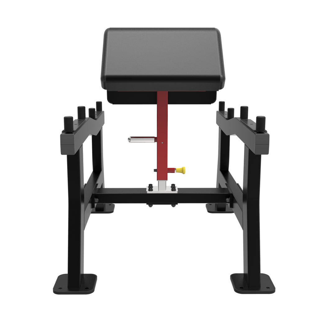 Element Fitness - Flexion des biceps HALTERE