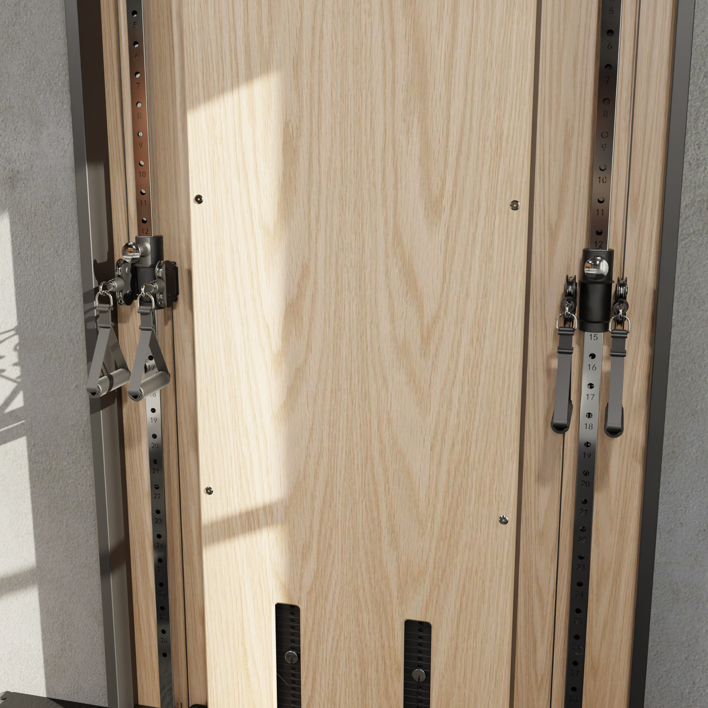 Flow 6 Light Oak - Wall Mounted Functional Trainer