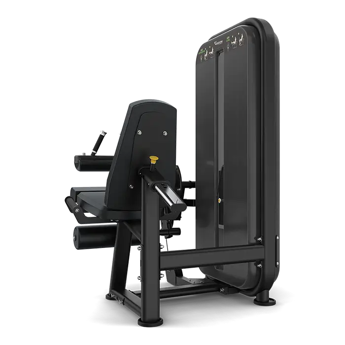 Vision Fitness - Extension des jambes / Flexion des jambes S711