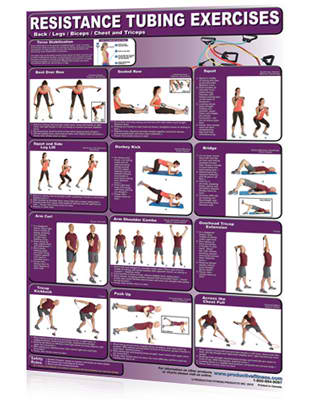 Poster- Resistance Tubing - Back/Legs/Biceps/Chest & Triceps – The