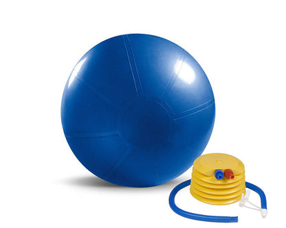 Beach Body Stability Ball with Pump Fitness Accessories Canada.