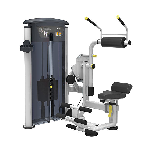 Back extension machine online canada