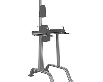 Element Series Pull Up Option for Vertical Knee Raise Strength Machines Canada.