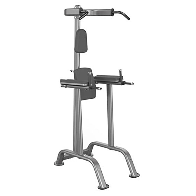 Element Series Pull Up Option for Vertical Knee Raise Strength Machines Canada.
