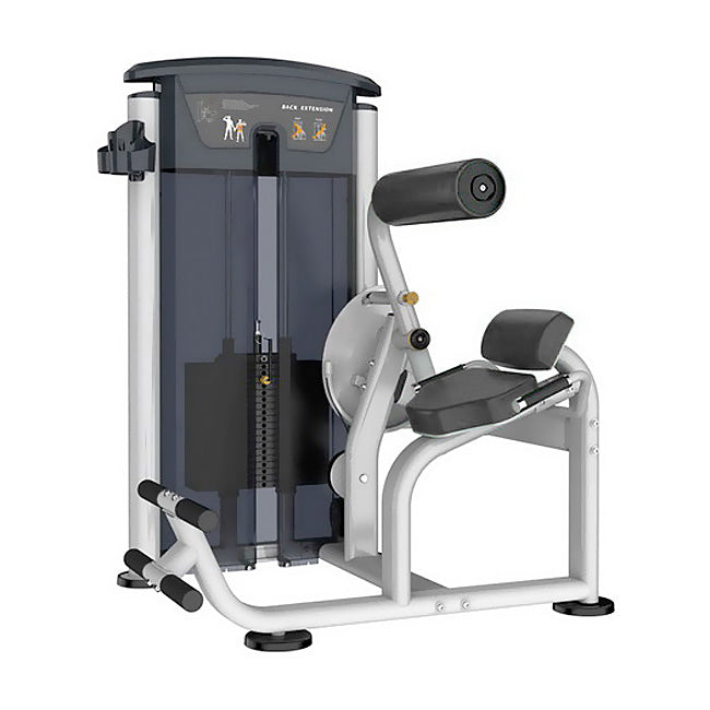 Element MERCURY 9532 Back Extension Strength Machines Canada.