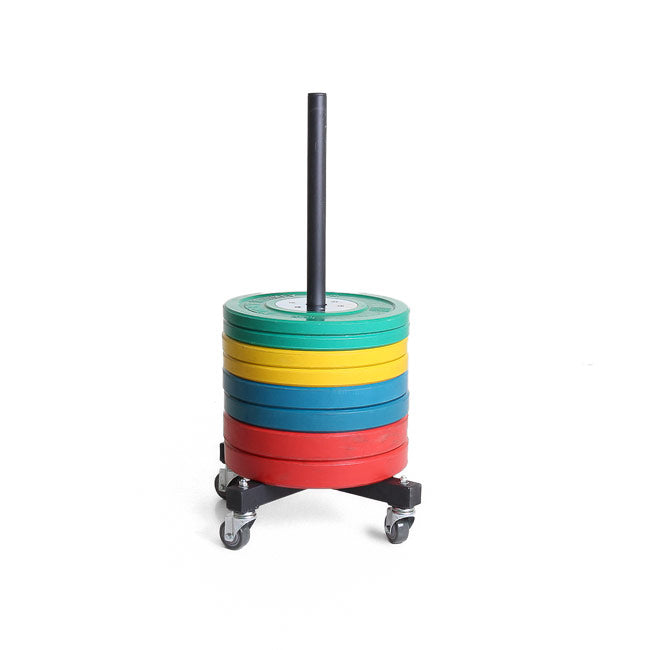 XM Vertical Bumper Plate Storage Strength & Conditioning Canada.