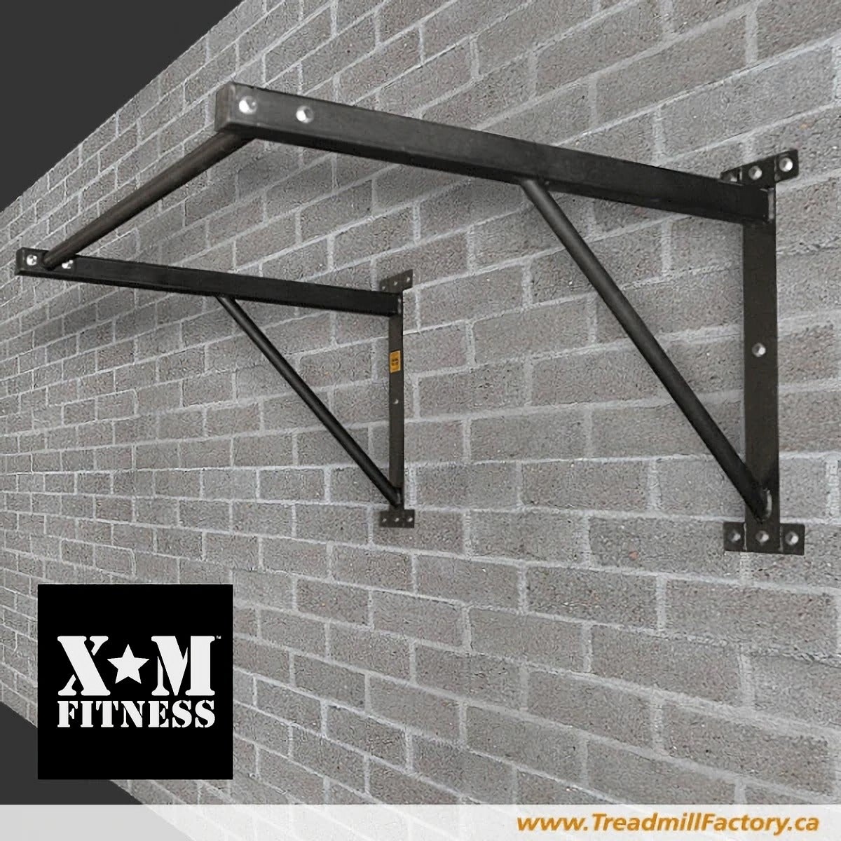 New XM Wall-Mounted Chin-Up Bar – The Treadmill Factory