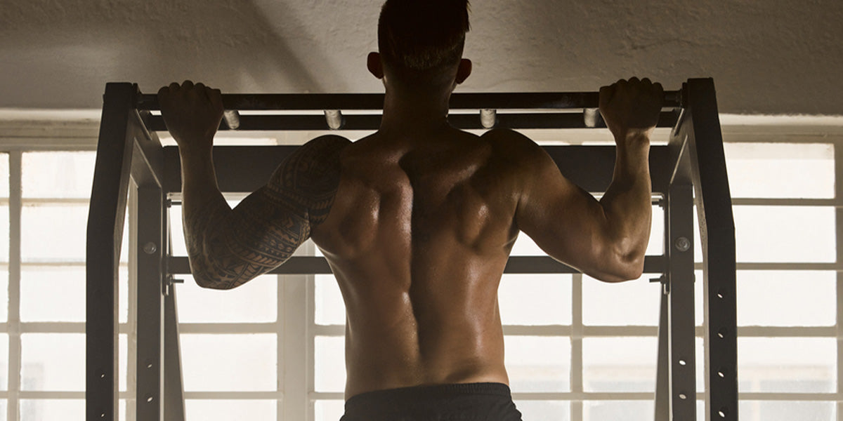 How to Use a Power Rack for Strength Training – The Treadmill Factory
