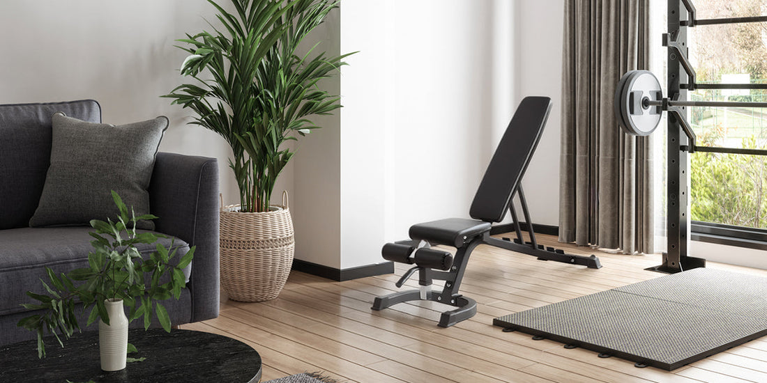 Best Weight Benches for Home Workouts: Top Picks for Every Budget
