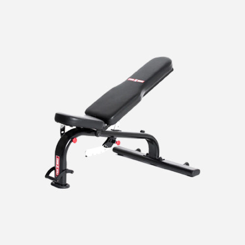 Body-Solid (GCBT380) Cam Series - Adjustable Seat Biceps and