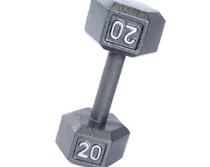 WEIDER 20 LB. CAST IRON HEX DUMBBELL - SOLD INDIVIDUALLY