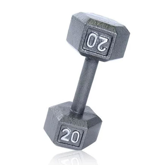 WEIDER 20 LB. CAST IRON HEX DUMBBELL - SOLD INDIVIDUALLY