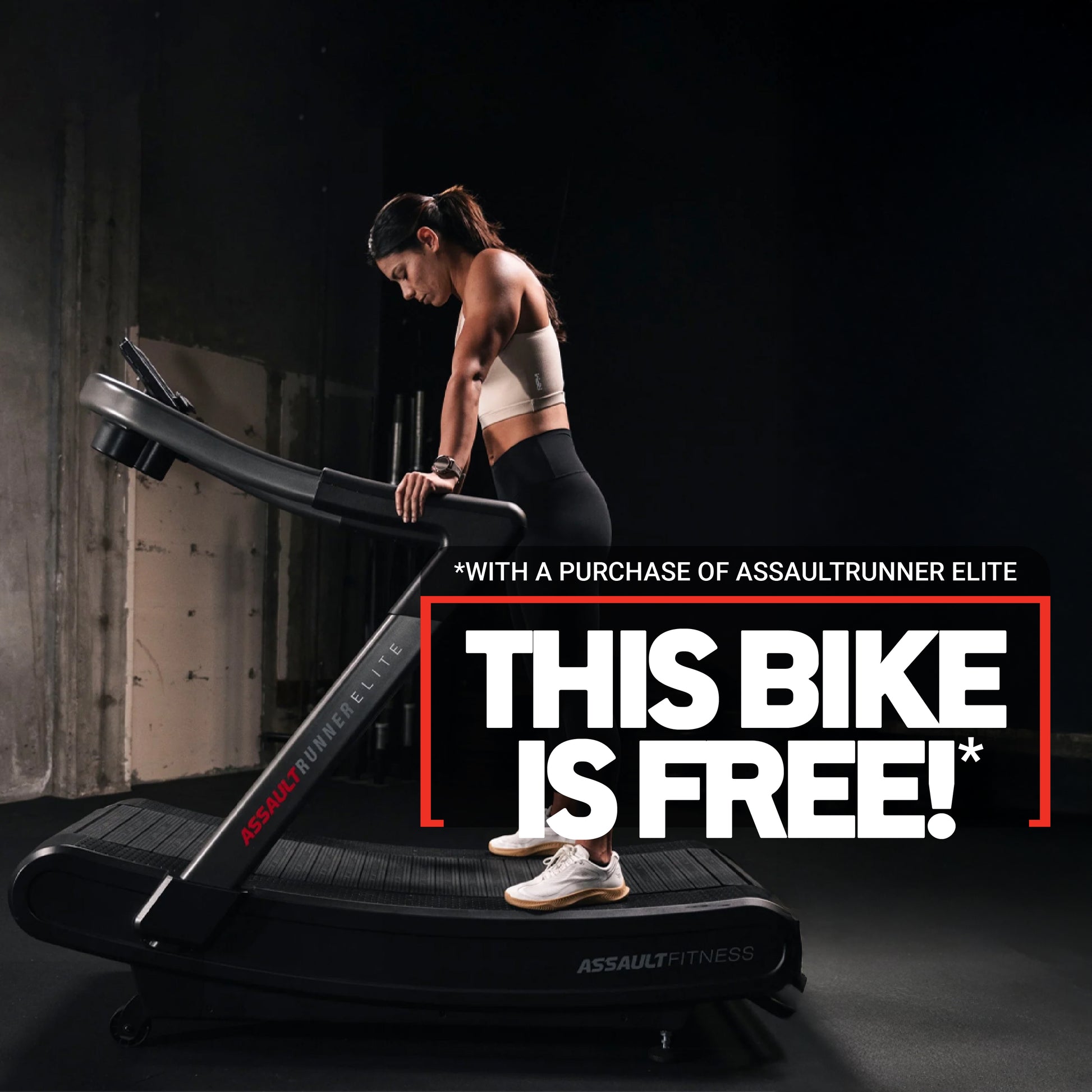 Assault AirBike Air Bike Canada Free Shipping – The Treadmill