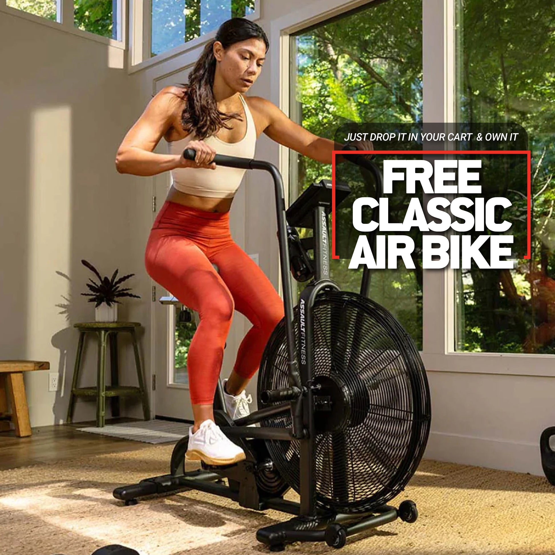 Assault Air Runner Elite Curve Treadmill Canada – The Treadmill