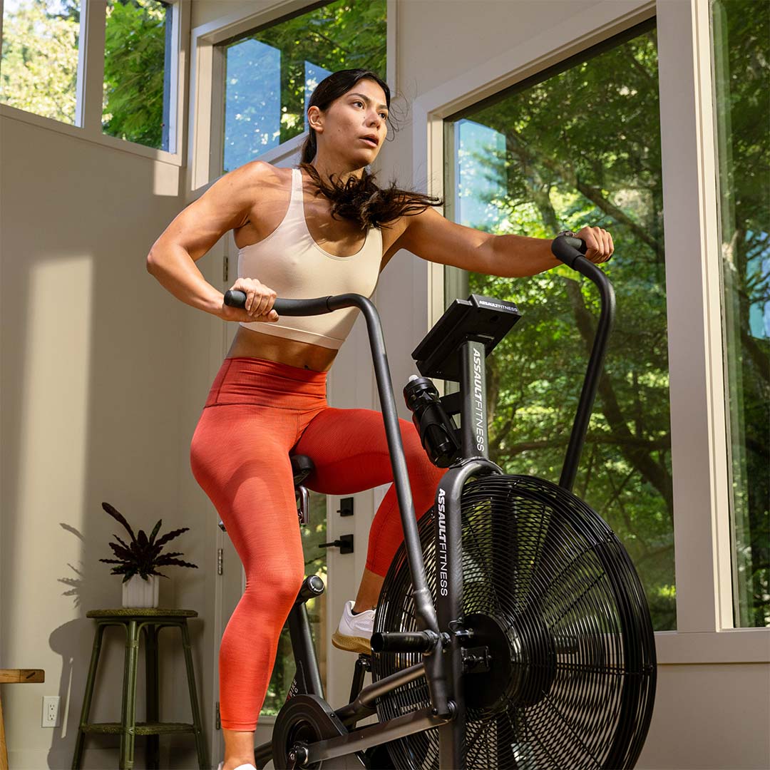 Assault AirBike Air Bike Canada Free Shipping – The Treadmill