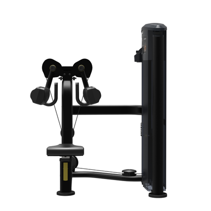 Element Fitness - 9524 Lateral Raise MERCURY BLACK 200lbs