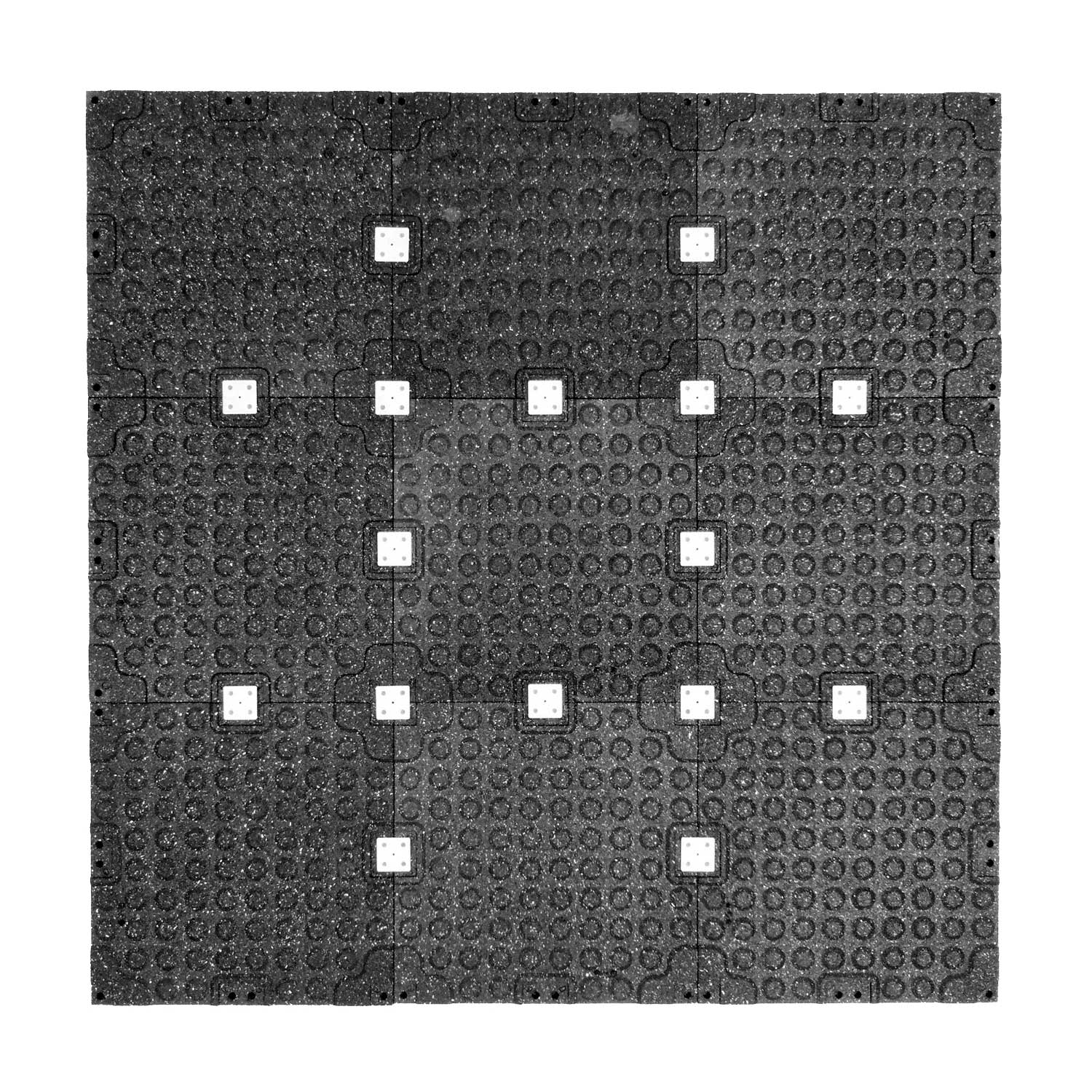 【目玉商品】POMONA CITY RYDAZ - WALKING g-rap Gorilla Tile - 20