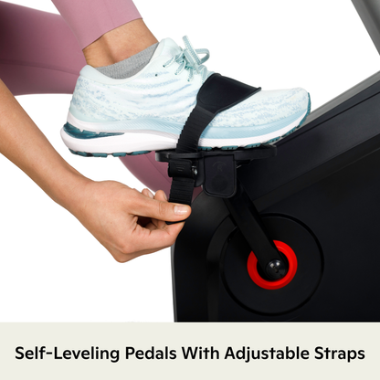 Schwinn - 280 Recumbent Bike