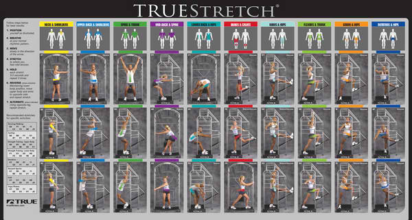 TRUE Stretch 800SS Club – The Treadmill Factory