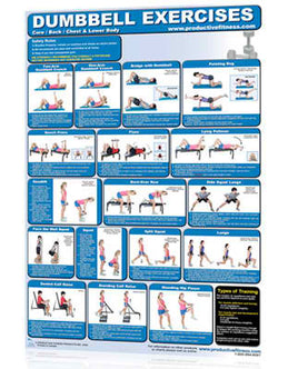 POSTER- Dumbbell Exercises - Lower Body/Core/Chest and Back Fitness Accessories Canada.