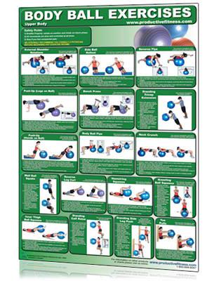 Poster- Body Ball Exercises - Upper Body/Lower Body Fitness Accessories Canada.