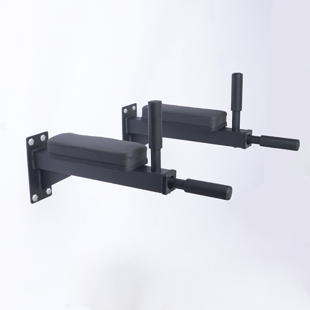 IRONAX WALL MOUNTED DIP STATION The Treadmill Factory