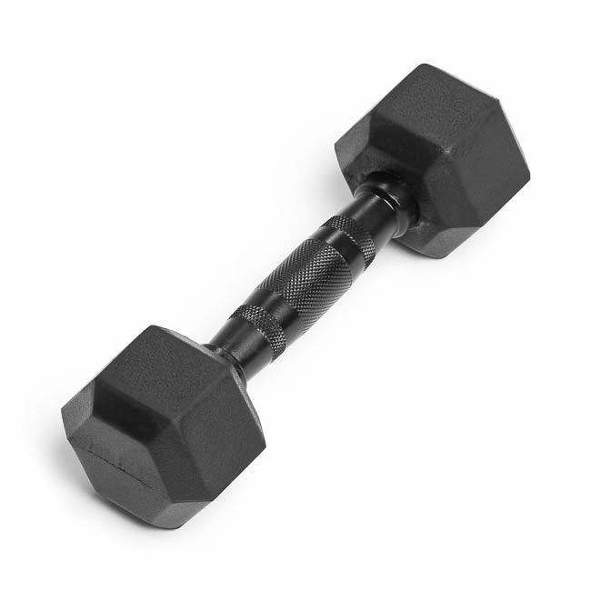 Rubber dumbbells 2024 for sale