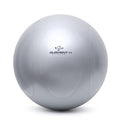 Element Fitness Commercial 55cm Stability Ball Fitness Accessories Canada.