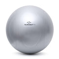 Element Fitness Commercial 65cm Stability Ball Fitness Accessories Canada.