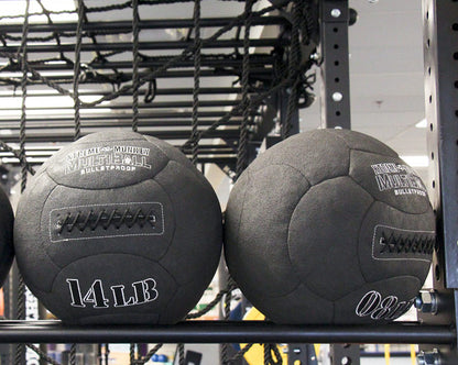 XM Fitness Exercise Ball Storage Shelf for XM Rigs Fitness Accessories Canada.