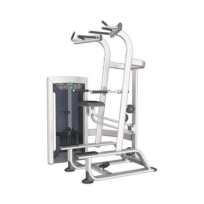 Element PALLADIUM Weight Assisted Chin/Dip Combo Strength Machines Canada.
