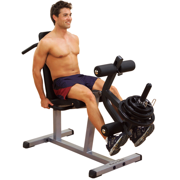 GLCE365 Seated Leg Extension / Supine Leg Curl by Body-Solid – The  Treadmill Factory