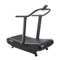 Assault Air Runner Pro Cardio Canada.