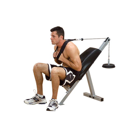 Powerline Ab Bench PAB21X – The Treadmill Factory