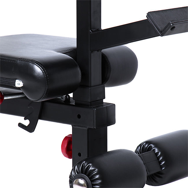 Gold's gym best sale preacher curl attachment