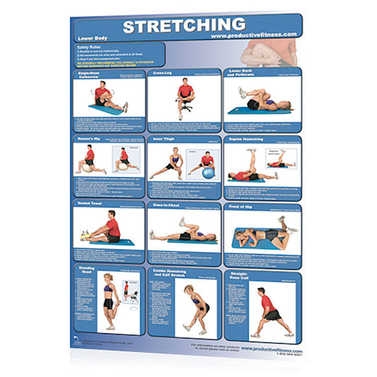 Poster - Stretching - Lower Body Fitness Accessories Canada.