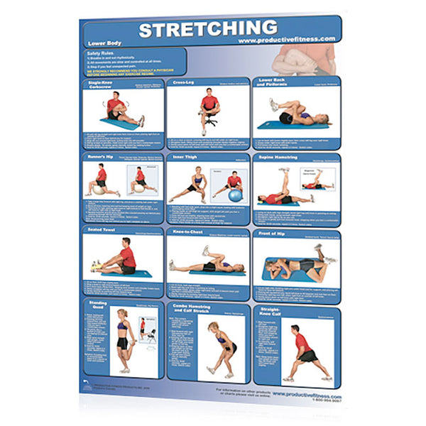 Poster - Stretching - Lower Body