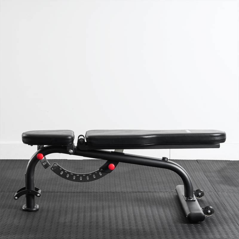 XM Fitness HD Adjustable FID Bench – The Treadmill Factory